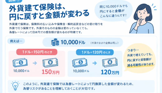 外貨建て保険は危ない？FPが実際の相談で説明している「本当のところ」をわかりやすく解説【2026年版】